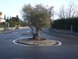 haz clicmitiva.jpg